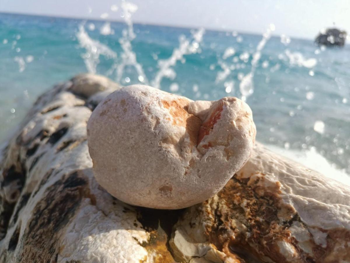 Dom Za Odmor J&S Διαμέρισμα Sutomore Εξωτερικό φωτογραφία